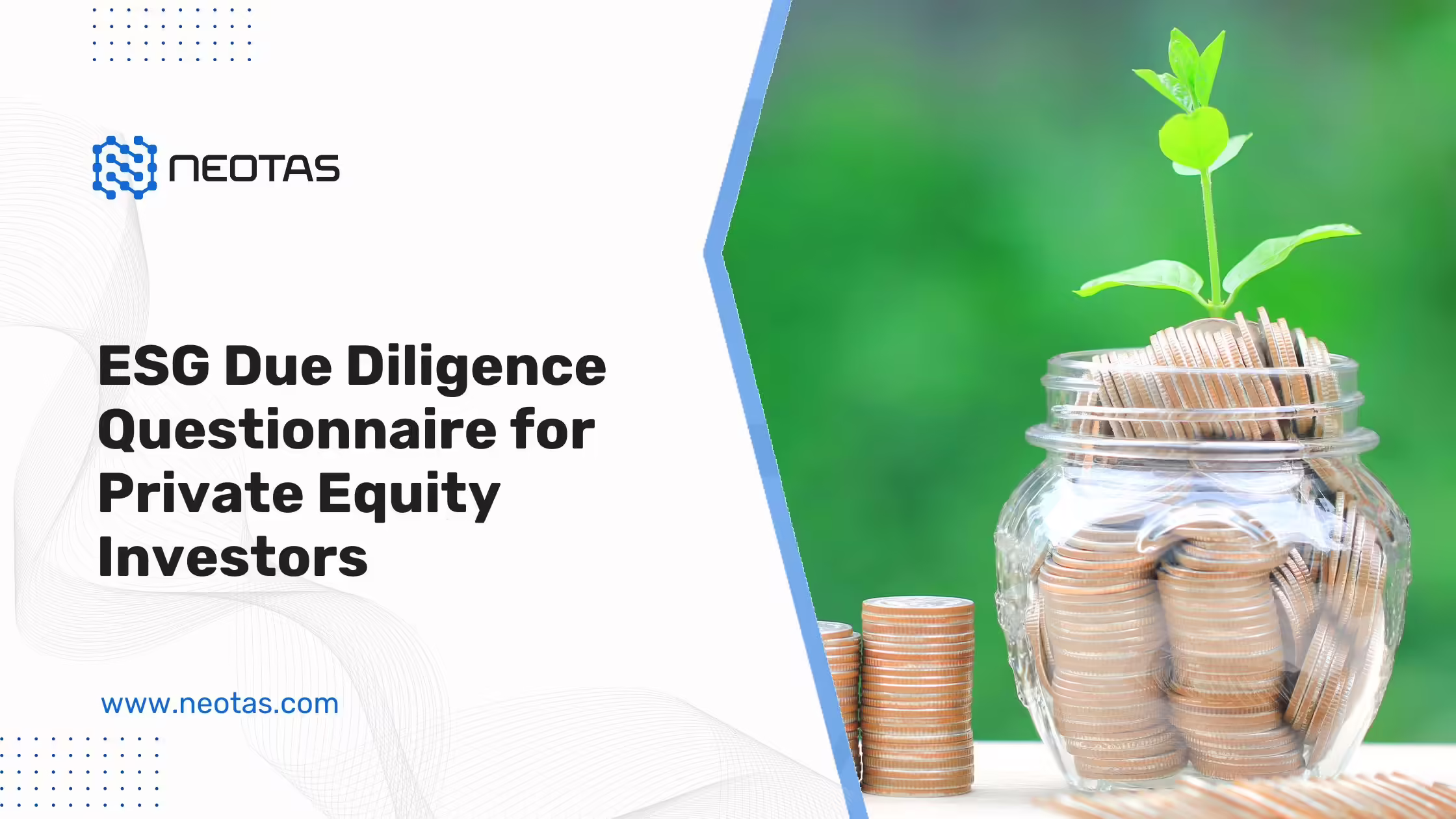 Neotas ESG Due Diligence Checklist