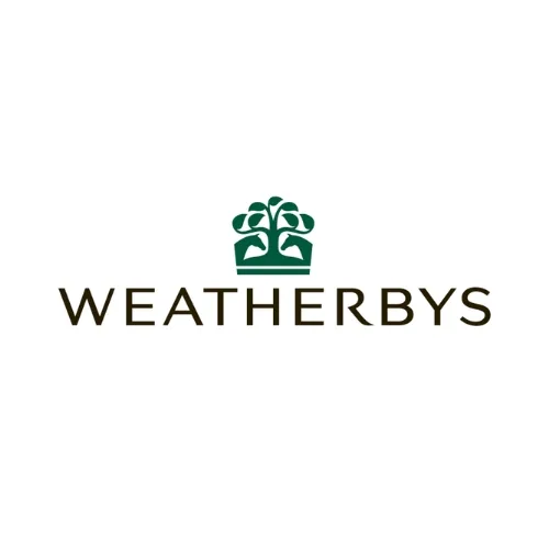 3.webp